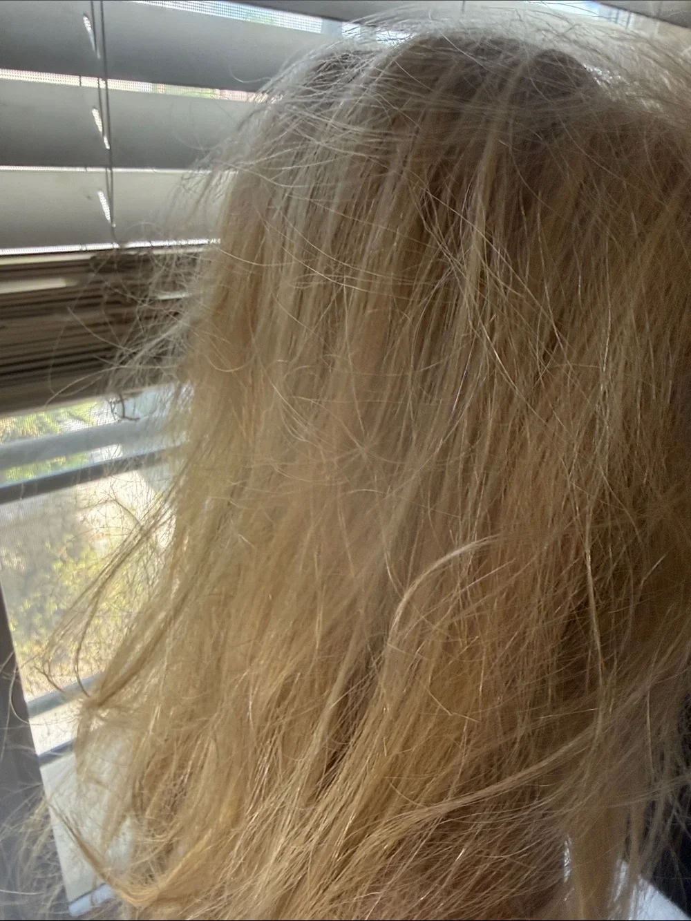 Long Blonde Women's Wig - Natural Light Blonde